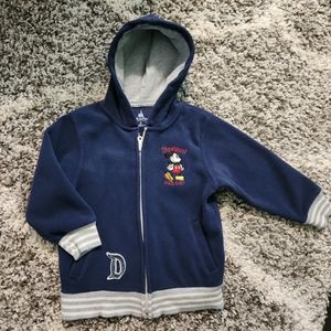 Disney Parks zip up